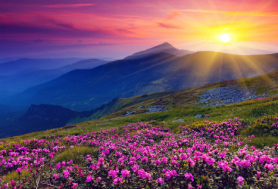 ​我的老师贾平凹阅读理解答案