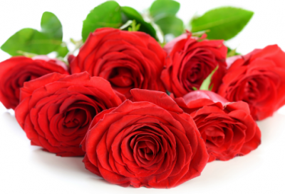 ​关于清明节祭祀的知识点