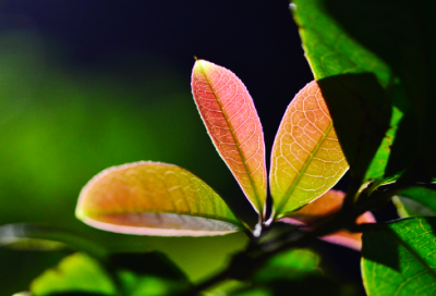 ​手机好评评价50字146条