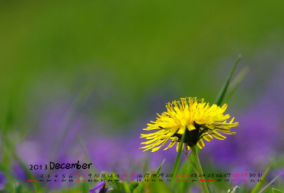 ​交通事故保险理赔标准是怎样的