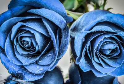 ​一名物理学家的教育历程200字