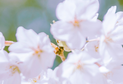 ​有关爱情的说说一段话大全195个