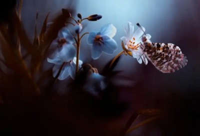 ​茶诗100首精选