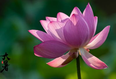 ​最新教师节祝贺文案182个