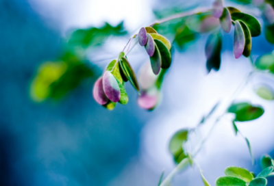 ​经典暖心短句201个