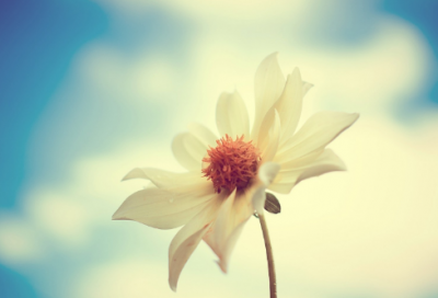 ​猜谜语游戏大全