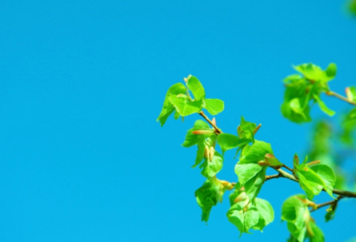 ​健康就好的说说205个