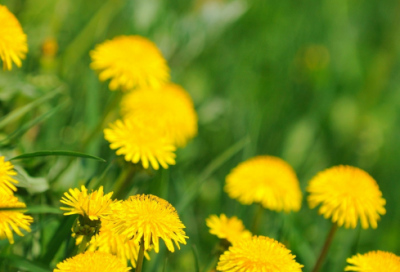 ​读《三国演义》有感