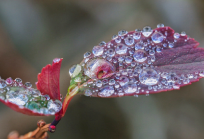 ​现代诗精选100首合集