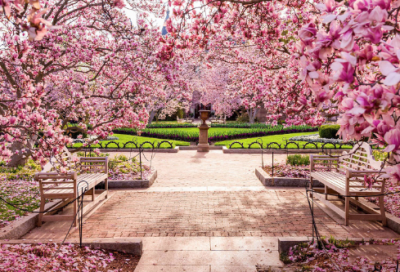 ​空间说说经典语录大全228个