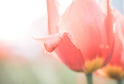 ​今天明天观后感