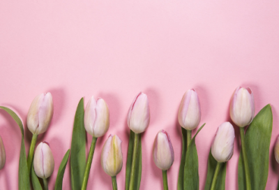 ​童年的好词好句214个