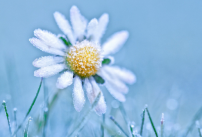 ​今日春分的说说132句