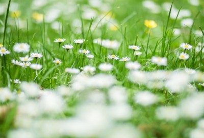 ​爱心企业呼吁捐款的公益文案