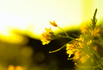 ​纪念九一八爱国演讲稿