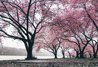 ​生日签名祝自己生日快乐262个