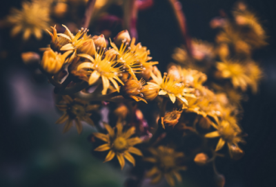 ​关于修养身心的名句216个