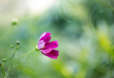 ​大学消防公开课学习心得