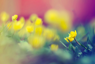 ​七夕发朋友圈幽默说说 适合情人节发的搞笑文案235个