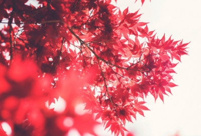 ​高三励志的话192个