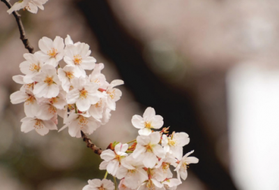 ​致学生家长的一封信人生又一新起点