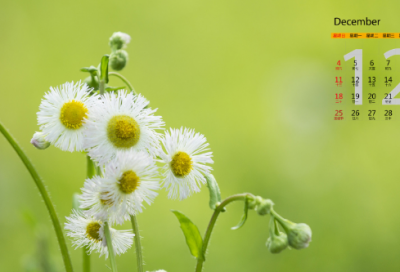 ​梳妆台+梳妆凳评价好评30字151条