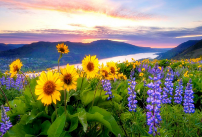 ​写给爸爸的话151句