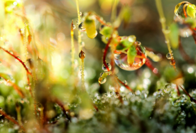 ​雪景拍照发朋友圈的说说206句