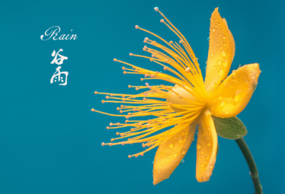 ​宝宝奶粉评价好评80字