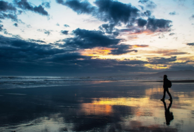 ​饭桌上的故事作文范文