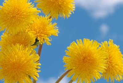 ​人生哲理故事