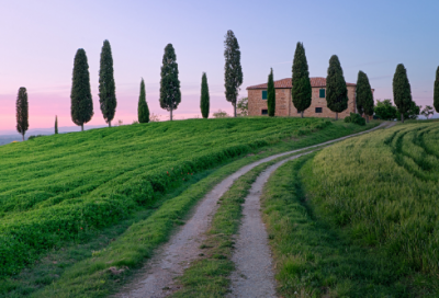 ​雨后小故事 人与人之间的信任呢