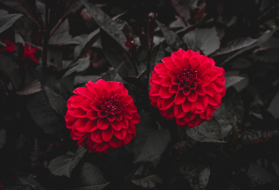 ​搞笑故事:为了不向女性朋友表白,他竟然做到了如此地步!