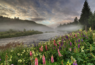 ​家庭教育故事