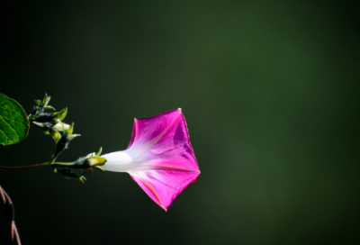 ​三国演义经典故事