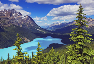 ​五个中国历史皇帝的故事