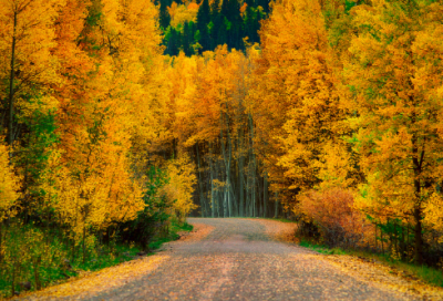 ​《警察故事》观后感精选5篇