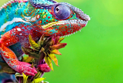 ​三年级自编童话故事