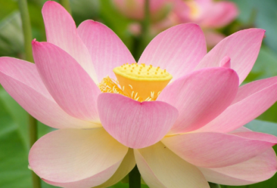 ​父亲节感恩父亲的故事