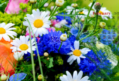 ​竺可桢的励志故事