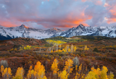 ​关于伟大母爱的感人故事