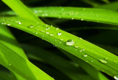 ​水浒传英雄李逵捉鬼是什么故事