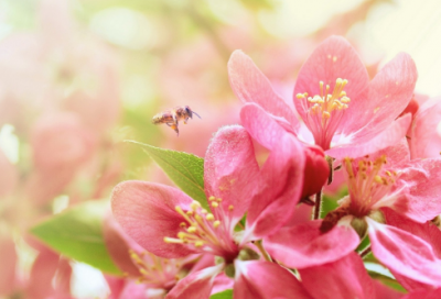 ​传奇女性黄道婆的故事有什么