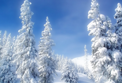 ​中外名人励志故事