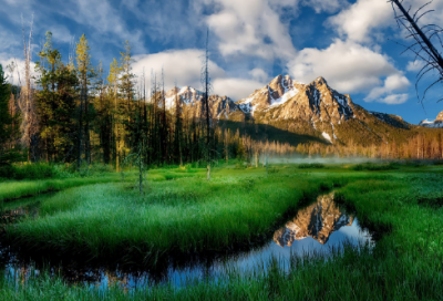 ​秦穆公尝出而亡其骏马的故事