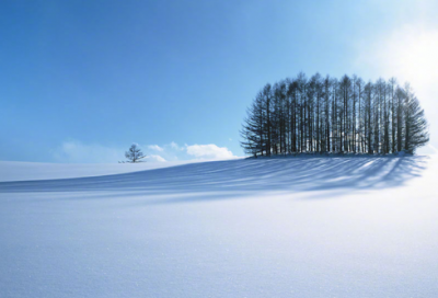 ​擅长经商的范蠡卖马的故事