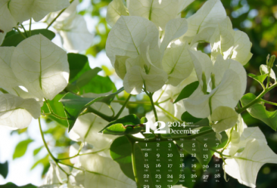 ​关于白玉堂大破冲霄楼的故事