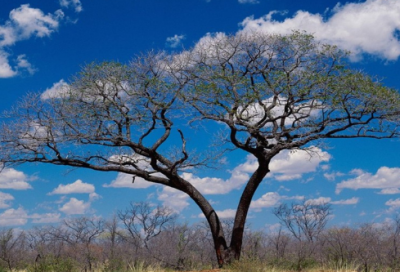 ​经典历史小故事——经典永流传