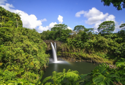 ​圣诞节的故事