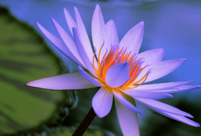 ​长征路上的著名故事三篇